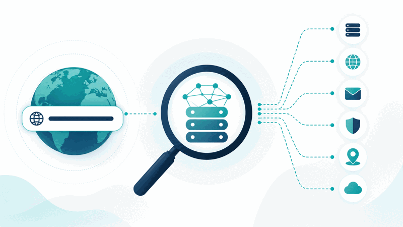 DNS lookup tool finding a domain's DNS records