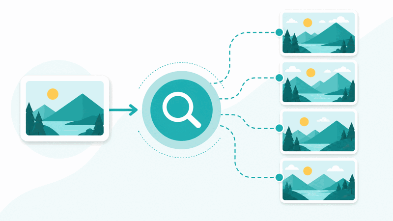 Reverse image search finding where an image appears